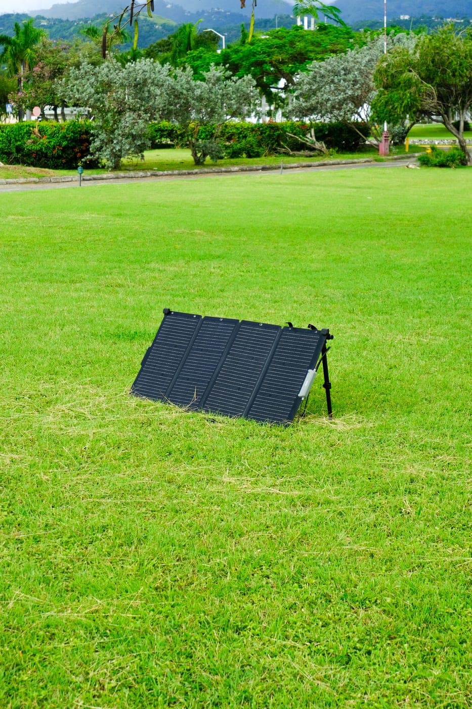 Litheli 100W Solar Panel