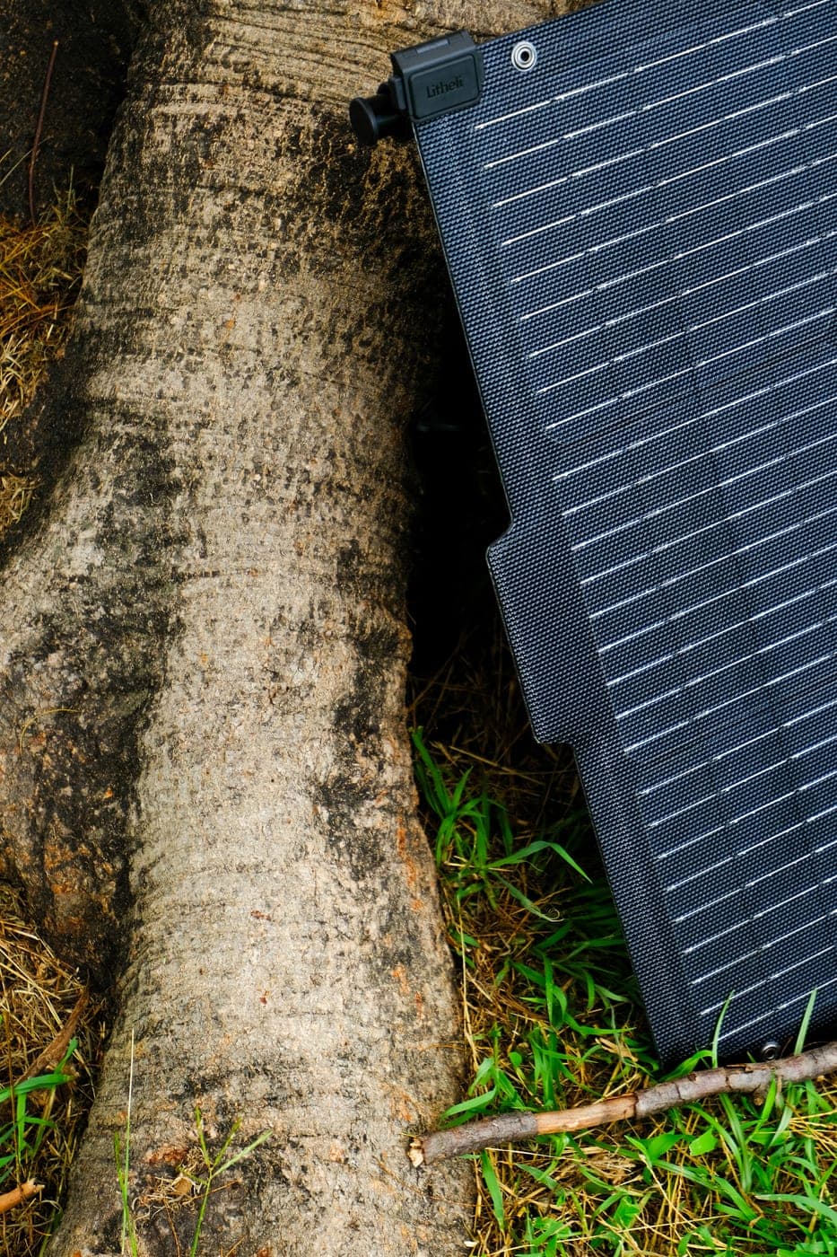 Litheli 100W Solar Panel