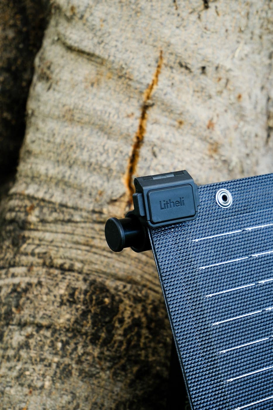 Litheli 100W Solar Panel